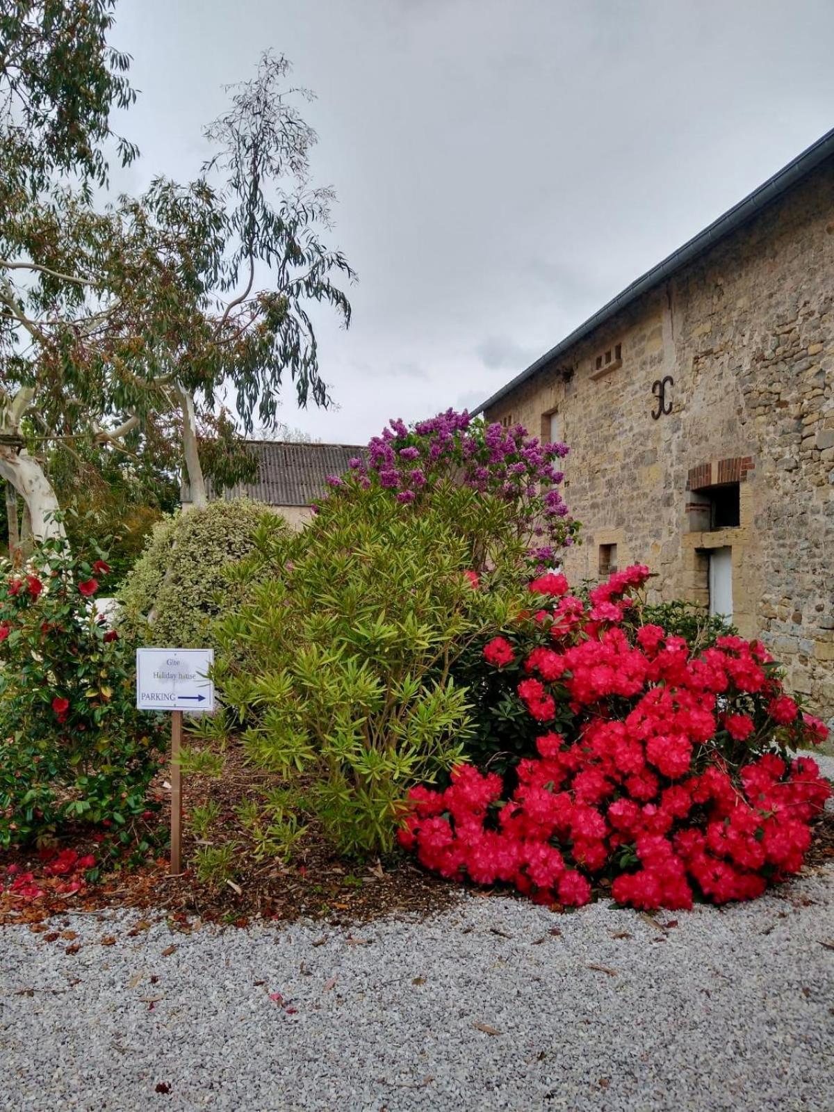 Maison 2 chambres avec espace extérieur privé et petit-déjeuner en supplément - fait-maison et produits locaux Vierville-sur-Mer Extérieur photo